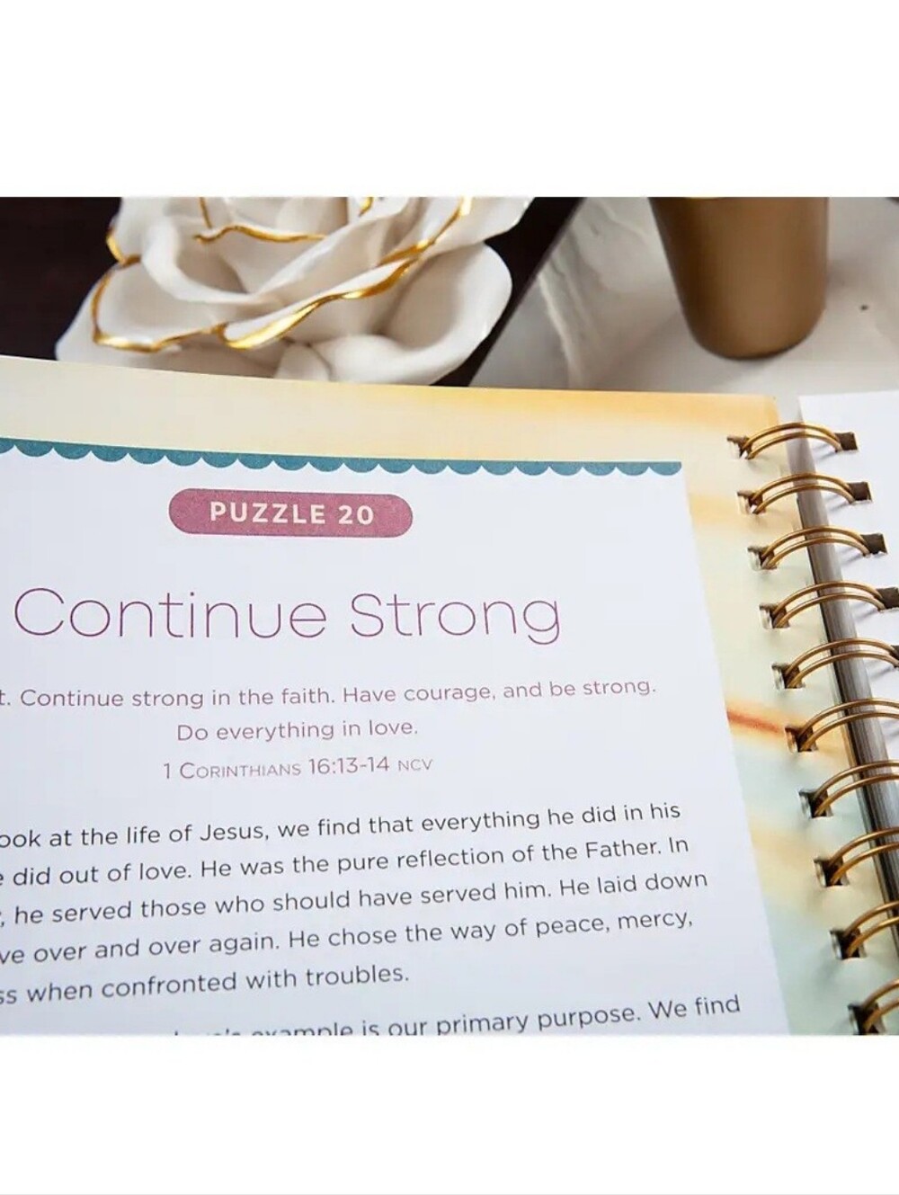 Bible Word Search Devotional - Teal & Gold Cover - Picture 4 of 4